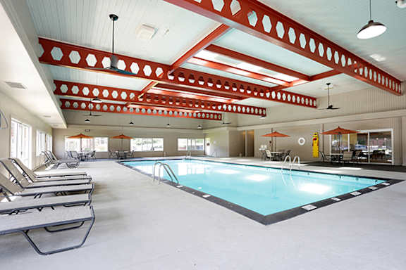 A large indoor swimming pool with sun loungers.