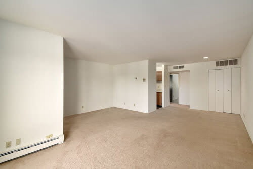apartment carpet amenity