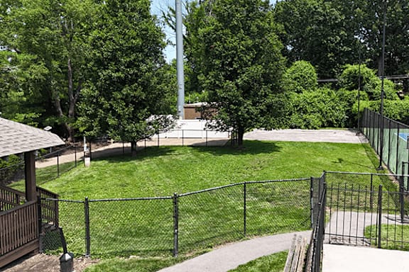 A black fence surrounds a green lawn.