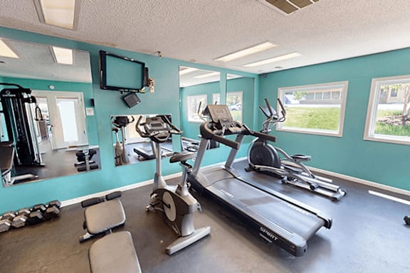 A gym with a treadmill, weights, and exercise equipment.