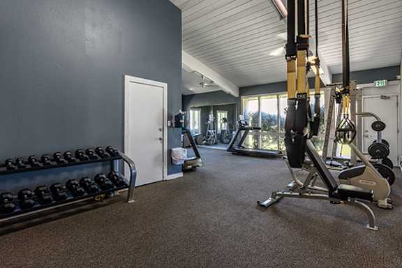 A gym with a variety of equipment including a weight bench, a treadmill, and a cable machine.