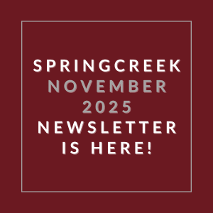 The image announces the availability of the Springcreek November 2025 newsletter.