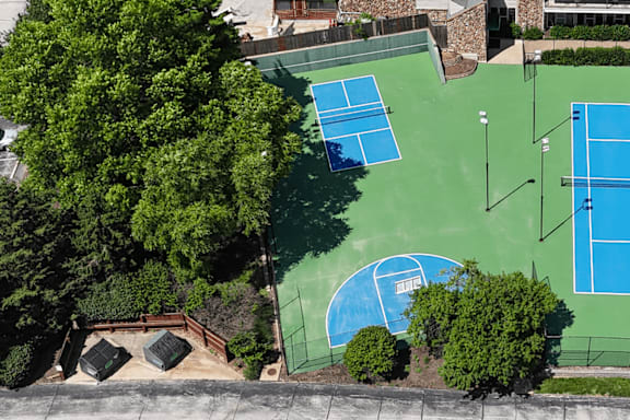 A tennis court surrounded by trees and bushes.