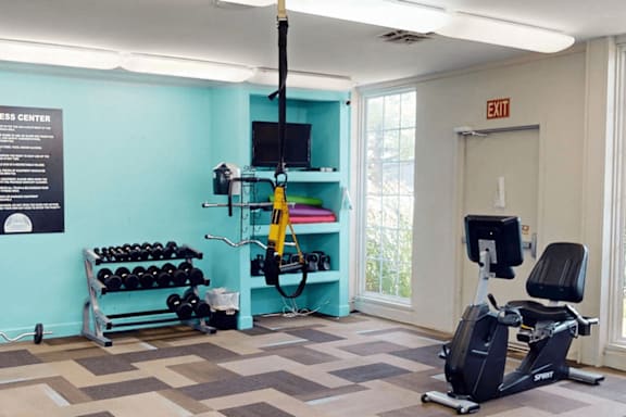A gym room with a row of dumbbells and a weight machine.