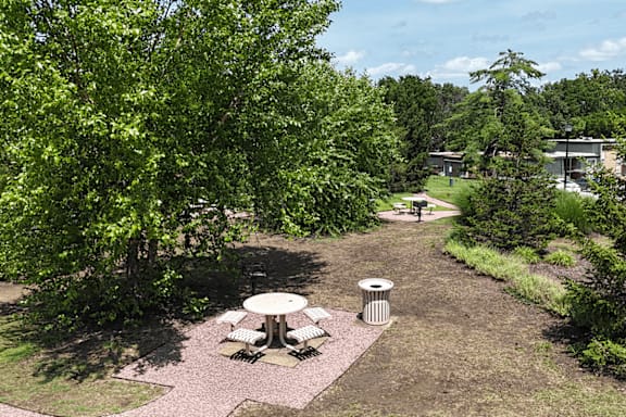 A picnic table is surrounded by trees and bushes.