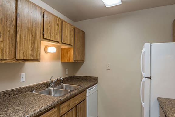 A kitchen with a sink, dishwasher and refrigerator.
