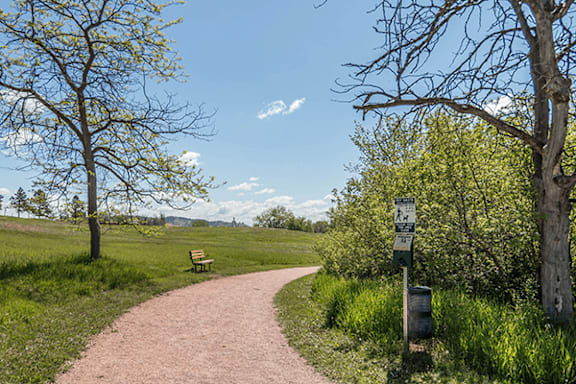A path in a park with a sign on a post.