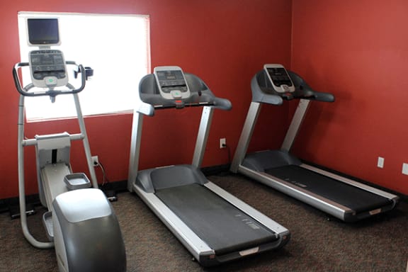 a row of exercise equipment in a gym