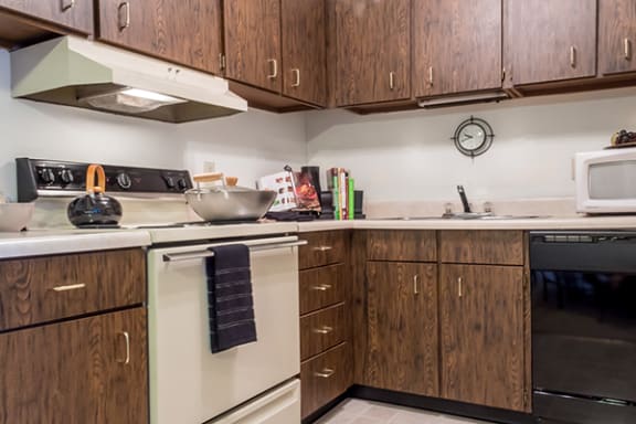 apartment kitchen with cabinet space