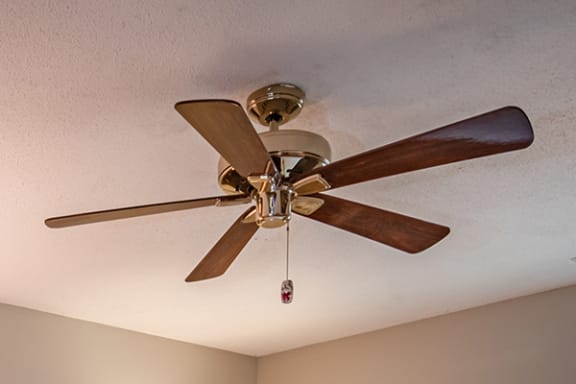apartments with ceiling fan