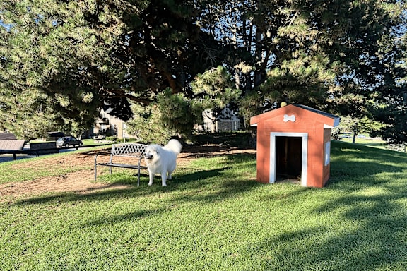 A dog is standing in front of a small red building.