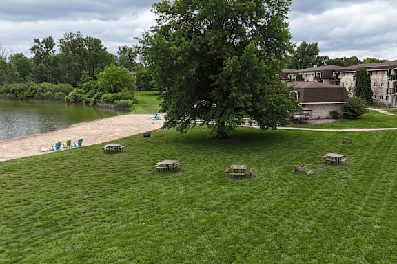 A grassy area with picnic tables and a body of water in the distance.