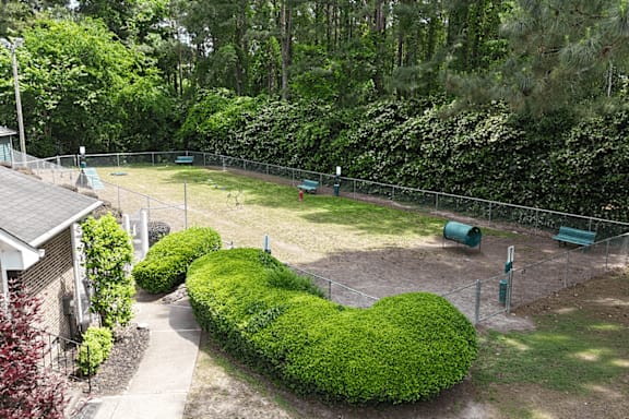 A backyard with a green lawn and a fence.