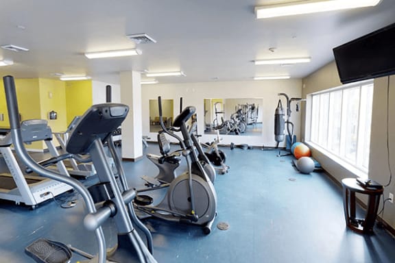 a gym with cardio equipment and weights