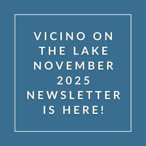 The image announces the release of the Vicino on the Lake newsletter for November 2025.