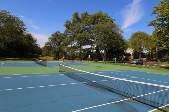 two tennis courts with trees in the background on a sunny day