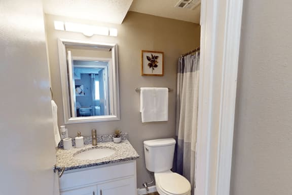 a bathroom with a toilet and a sink and a mirror