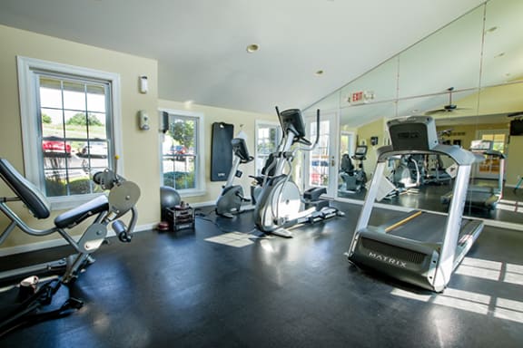 the gym is equipped with cardio equipment and weights