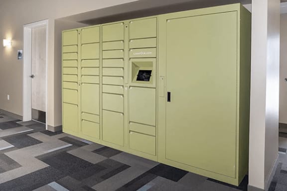 Amazon hub amenity at windsor gates