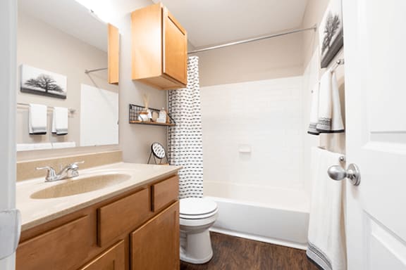 a bathroom with a sink toilet and shower and a bath tub