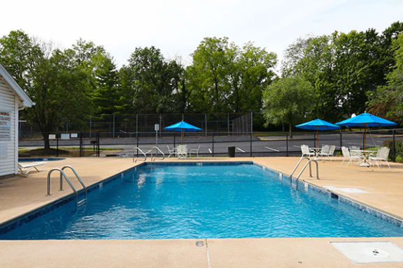 a swimming pool with chairs and umbrellas and trees in the background