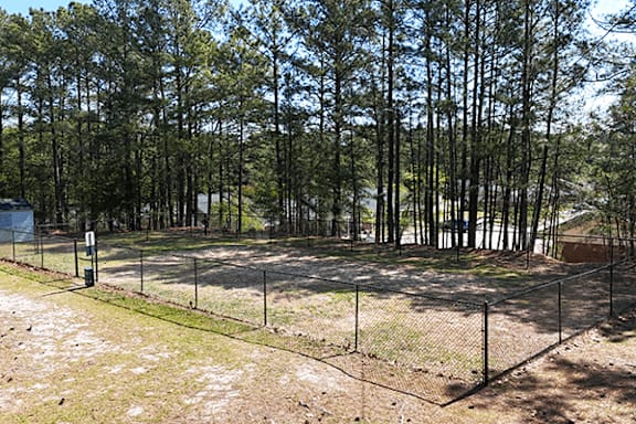 A fenced area with trees in the background.