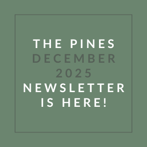 The image announces the availability of the Pines December 2025 newsletter.