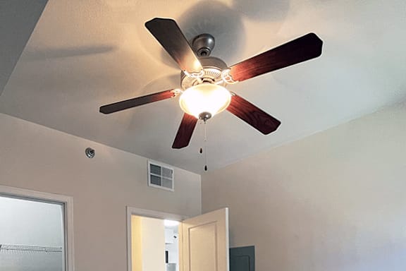 A ceiling fan with lights is hanging from the ceiling in a room.