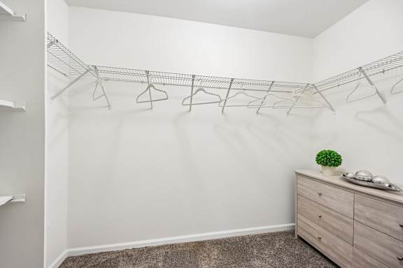 A white closet with a brown carpet and a wooden dresser.