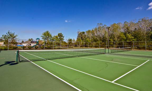 A tennis court with a net and trees in the background.