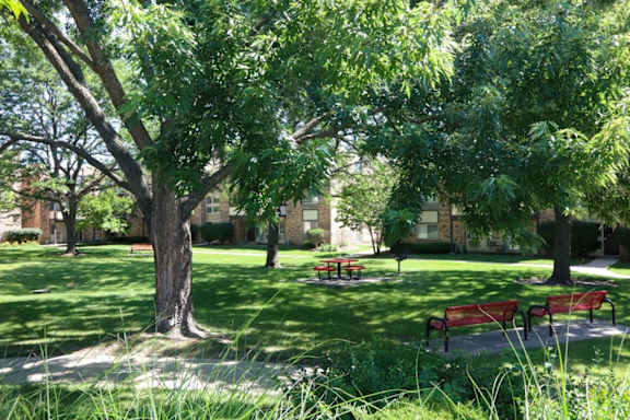 a park with benches and trees in front of a building