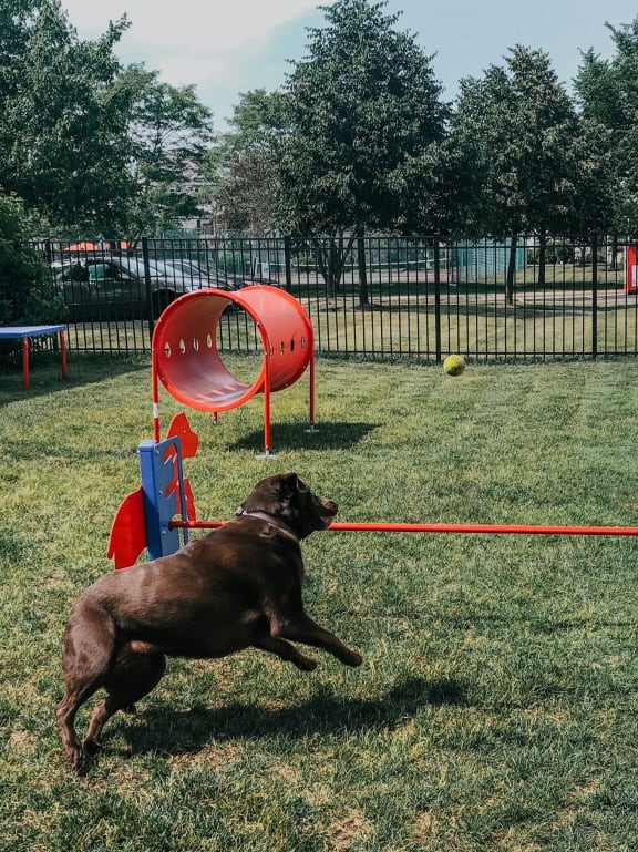 Dog Park at Landings at Amhurst Lake Apartments, Illinois