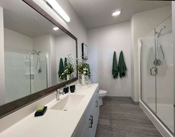 A bathroom with a white countertop and a large mirror.
