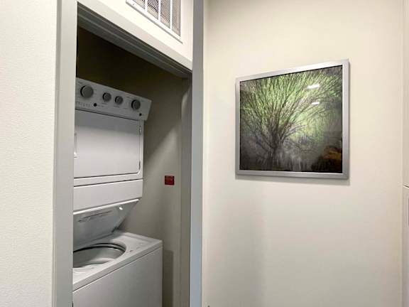 A picture of a tree is hanging on the wall next to a washing machine.