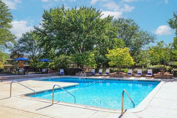 a swimming pool with trees and chairs around it