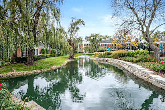 A serene pond surrounded by lush greenery and trees.