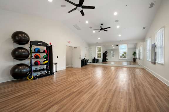 A gym with a wooden floor and a wall of exercise balls.