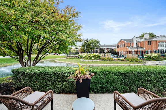 A view of a courtyard with a table and chairs and a potted plant.