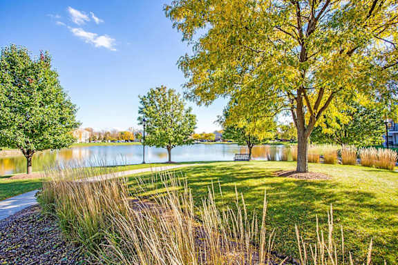 A tree with yellow leaves stands in a park next to a pond.