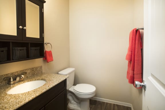 Fifteen 50 Apartments Las Vegas, NV - 2 Bedroom 1 and a Half Bathroom Apartment - Bathroom with Sink and Toilet