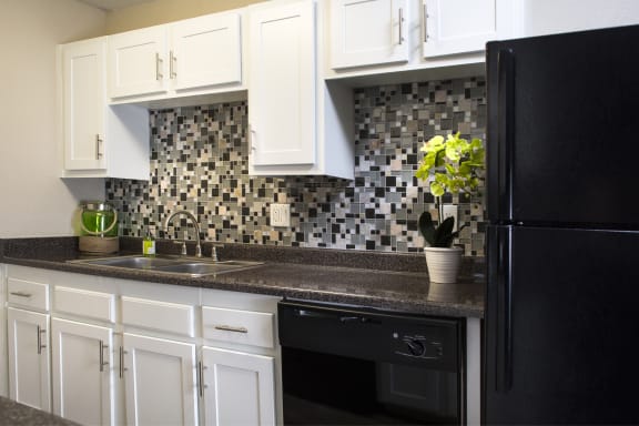 Fifteen 50 Apartments Las Vegas, NV - 2 Bedroom 1 and a Half Bathroom Apartment - Kitchen with Dishwasher and Sink