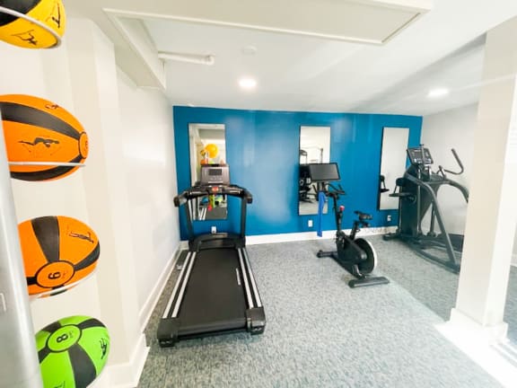 a home gym with a treadmill and exercise balls