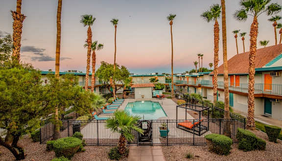 A pool surrounded by palm trees and a fence.