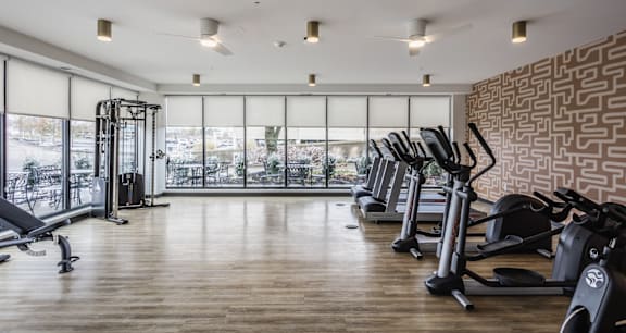 A gym with a row of treadmills and a row of exercise bikes.