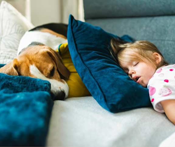 A little girl is sleeping on a couch with a dog.