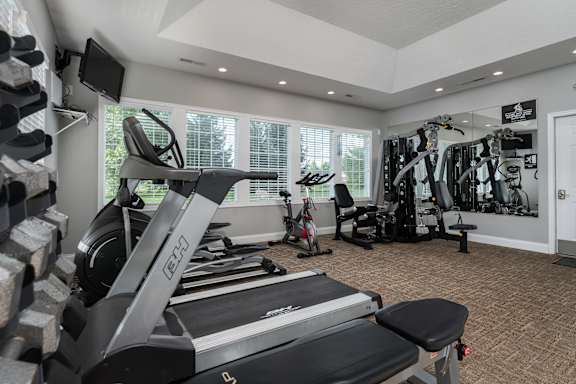 A spacious home gym with a treadmill, exercise equipment, and a television.