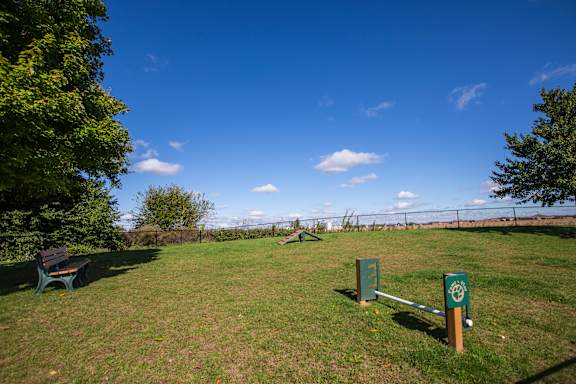 a park bench in a grassy area with a fence in the background