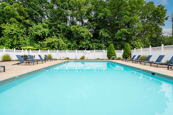 A large swimming pool surrounded by trees and lounge chairs.