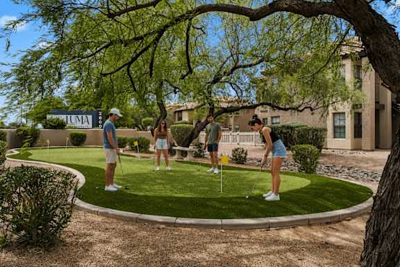 Four people playing golf on a putting green.