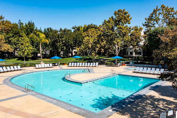 A large outdoor swimming pool surrounded by trees and lounge chairs at The Woods Apartments, San Jose, 95136